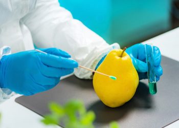 Biologist examining pear for pesticides